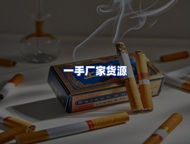 专业团队